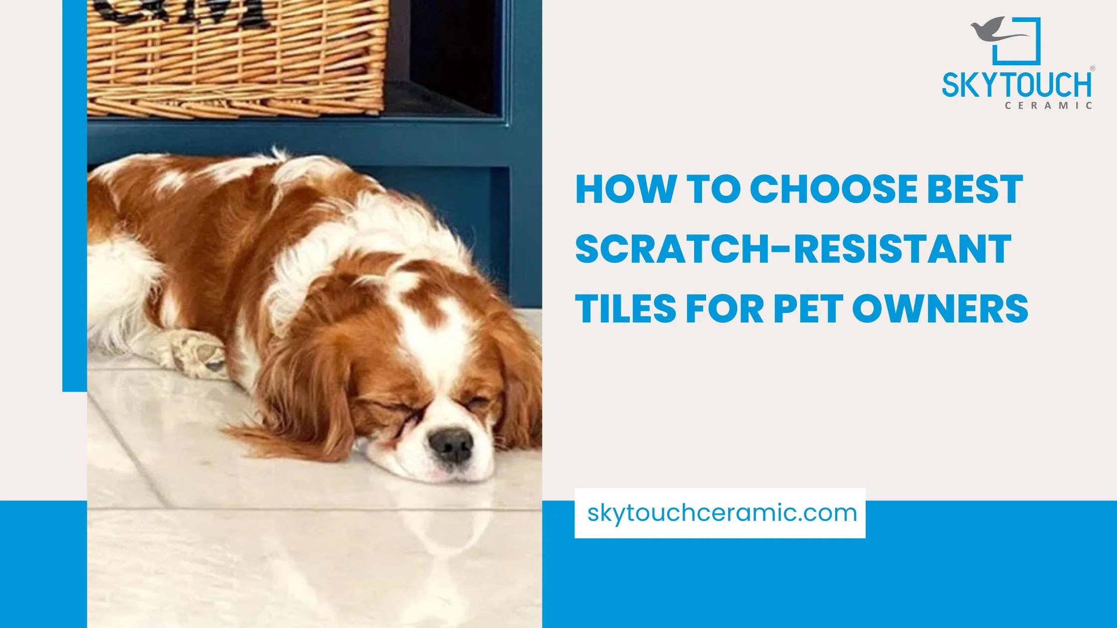 How to Choose Best Scratch-Resistant Tiles for Pet Owners
